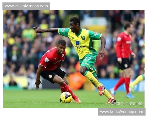 挪威绿野上的烽烟：布兰与瓦勒伦加的恩怨情仇